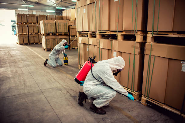 Flea Control Services in Sugarcreek, PA