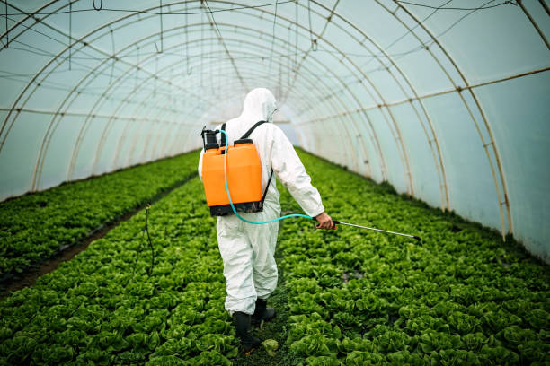 Best Affordable Pest Control Services  in Sugarcreek, PA