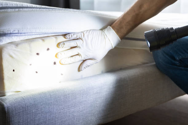 Best Pest Inspection Near Me  in Sugarcreek, PA