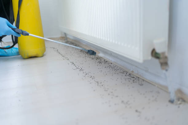 Reliable Sugarcreek, PA Pest Control Solutions