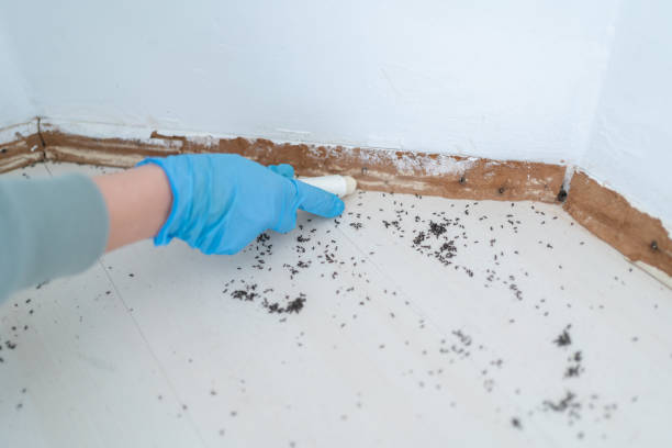 Best Pest Prevention Services  in Sugarcreek, PA
